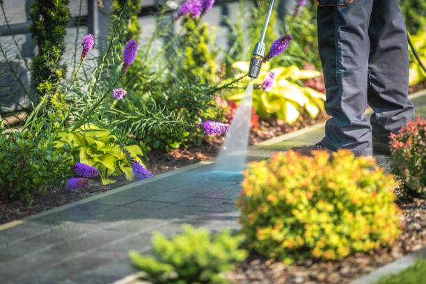 Best Fence Cleaning  in Dublin, VA